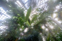 /album/palmenhaus/dsc-0042-jpg/