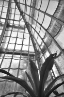 /album/palmenhaus/dsc-0054-jpg/