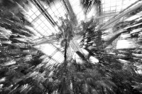 /album/palmenhaus/dsc-0122-jpg/