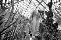 /album/palmenhaus/dsc-0153-jpg/