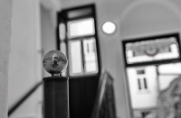 /album/hasnerstrasse/dsc-3640-jpg/