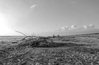 /album/fotogalerie/a455-bearbeitet-1-jpg/
